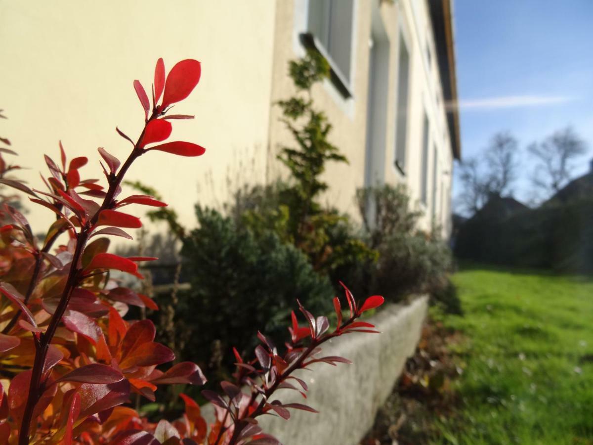U Nás - Apartmán Zajíc Vapenna Esterno foto