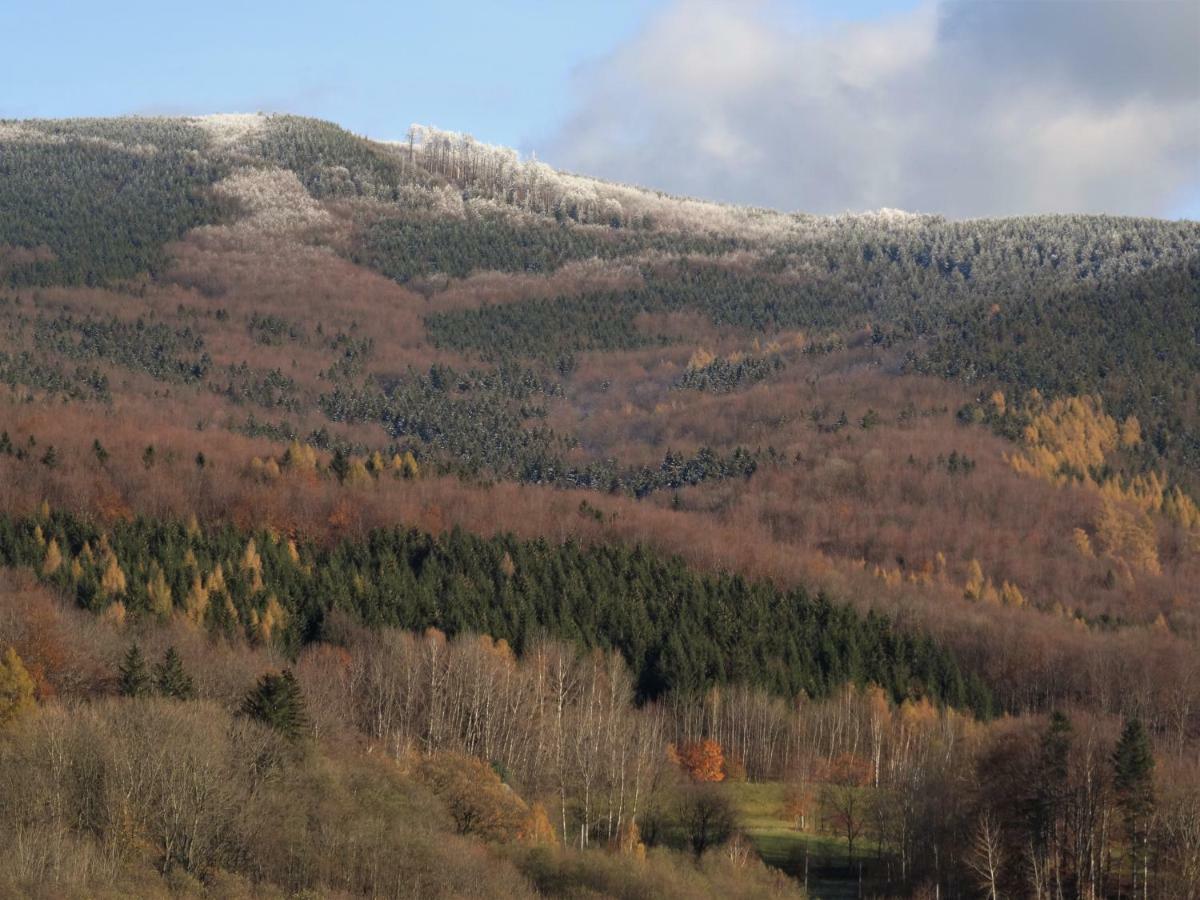 U Nás - Apartmán Zajíc Vapenna Esterno foto